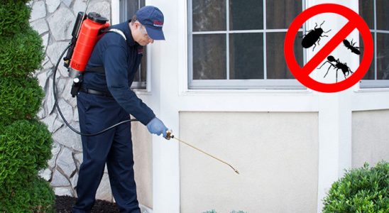 Sarıveliler Fare İlaçlama böcek ilaçlama ve haşere kontrolü — ilaclama-tr.com